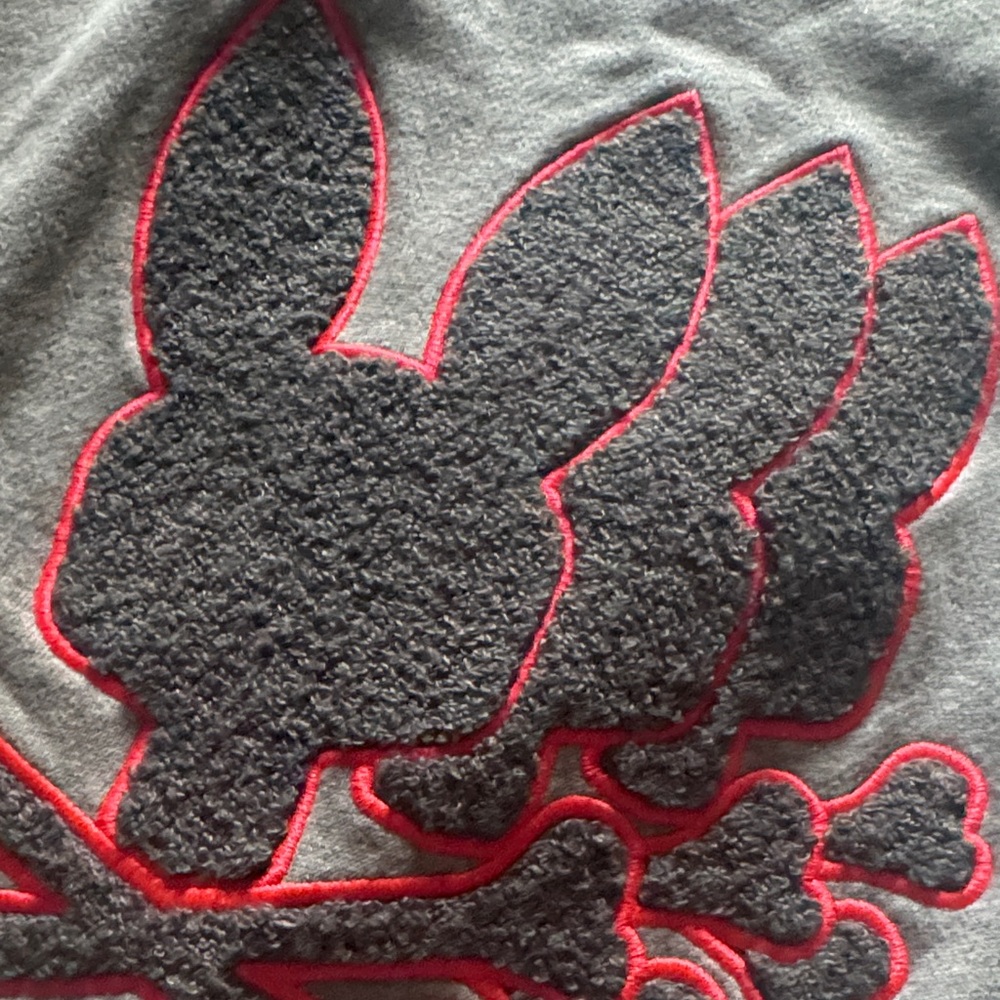 Gray and Red Graphic Sweatshirt